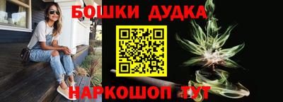 jwh Сланцы